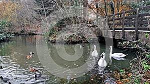 Stover Country Park

Stover,Â Newton Abbot,Â Devon